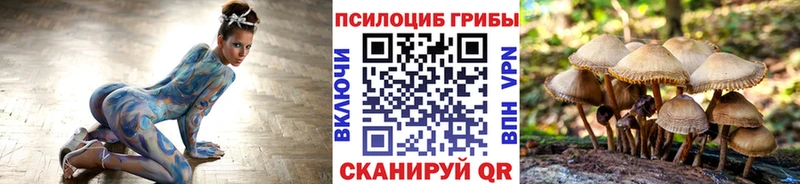 Галлюциногенные грибы Psilocybe  где можно купить   Верхний Уфалей 