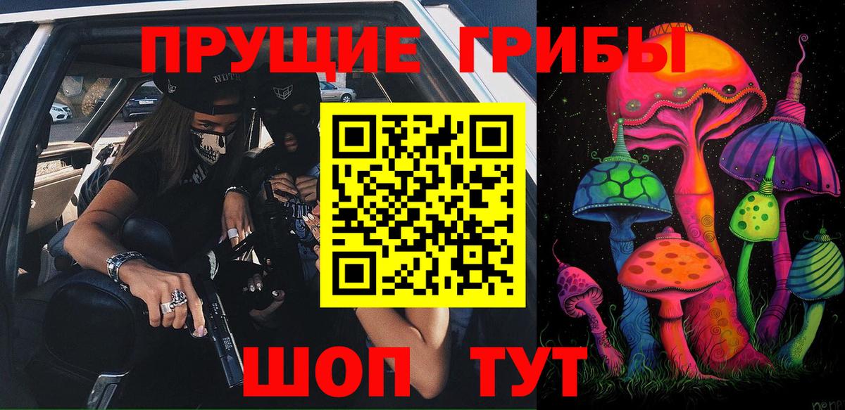 Верхний Уфалей  Галлюциногенные грибы Psilocybe  Вход с VPN 